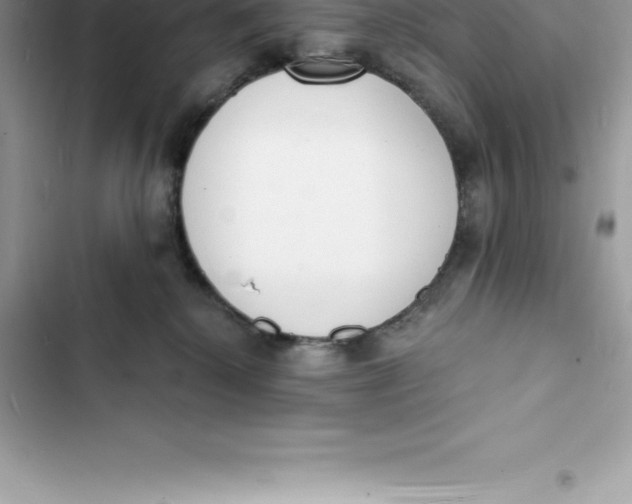 X0000103300280200809191901