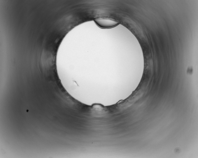 X0000103300281200809191901