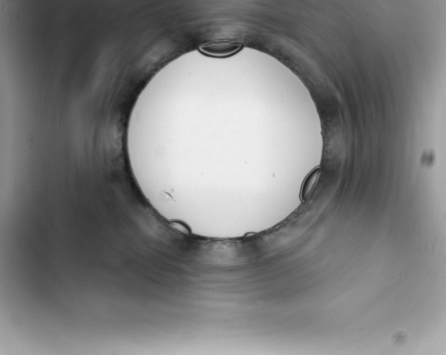 X0000103300282200809191901