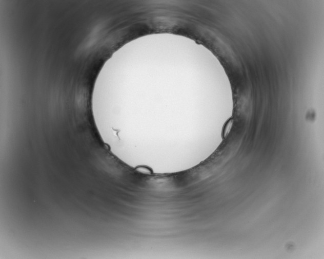 X0000103300283200809191901