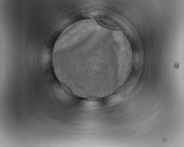 X0000103300284200809191901