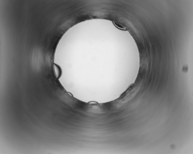 X0000103300285200809191902