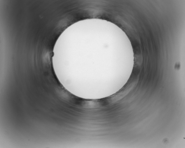 X0000103300286200809191902