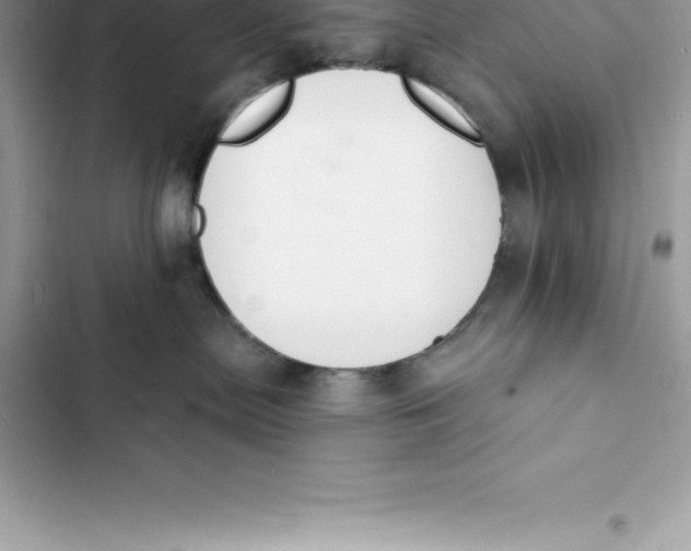 X0000103300287200809191902