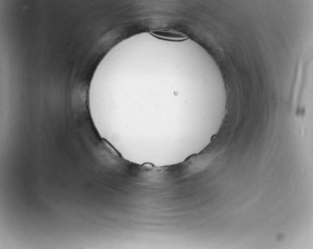 X0000103300288200809191902