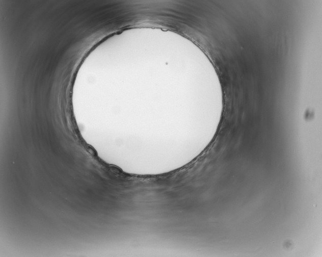 X0000103300289200809191901