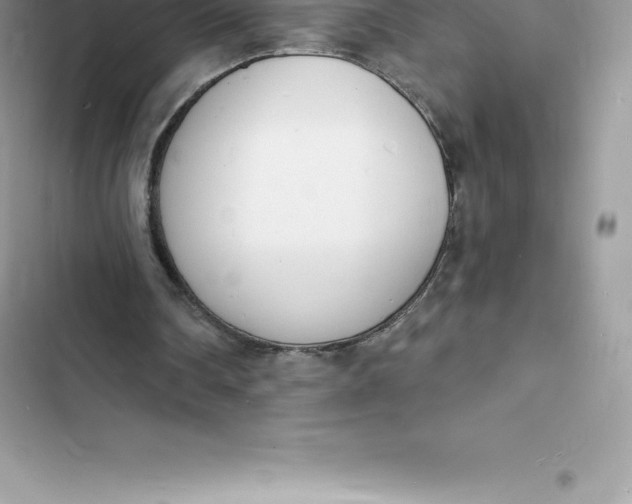 X0000103300290200809191901