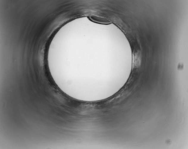 X0000103300291200809191901