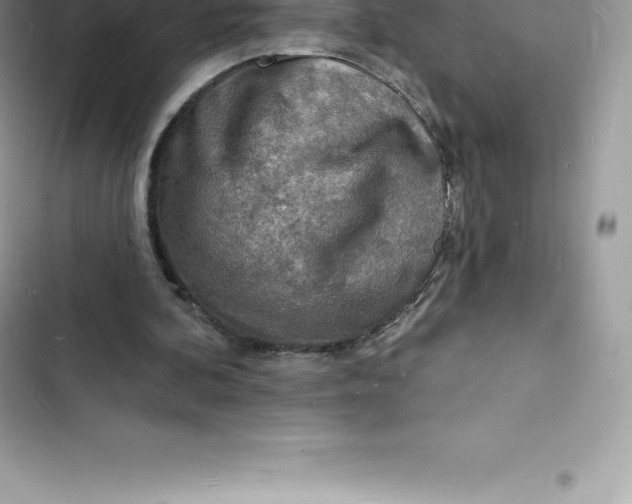 X0000103300292200809191901