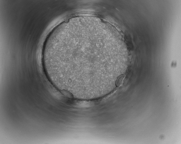 X0000103300293200809191901