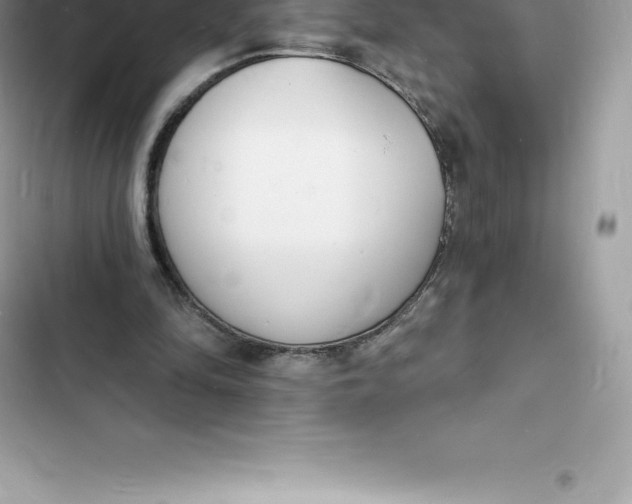 X0000103300294200809191901