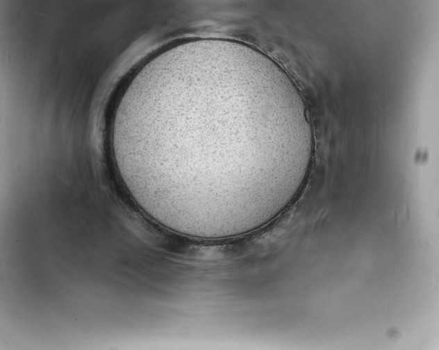 X0000103300295200809191901