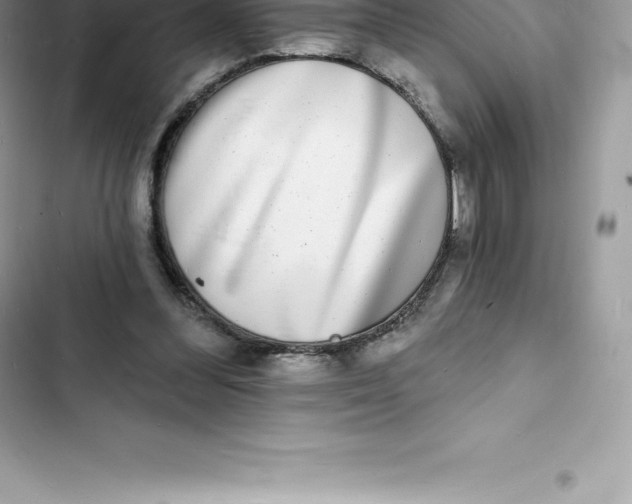 X0000103300300200809191901