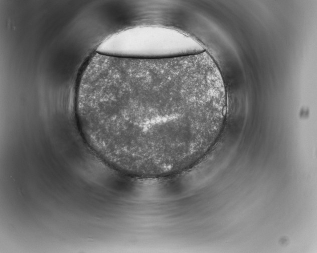 X0000103300301200809191901