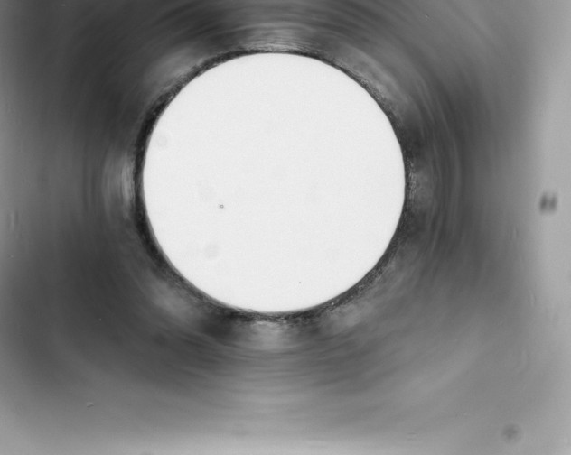 X0000103300302200809191901