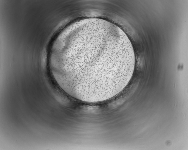 X0000103300304200809191901