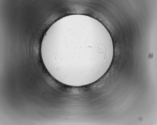 X0000103300305200809191901