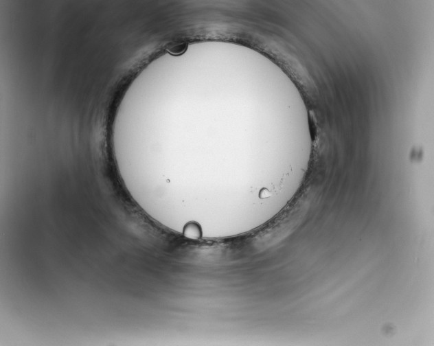 X0000103300306200809191901