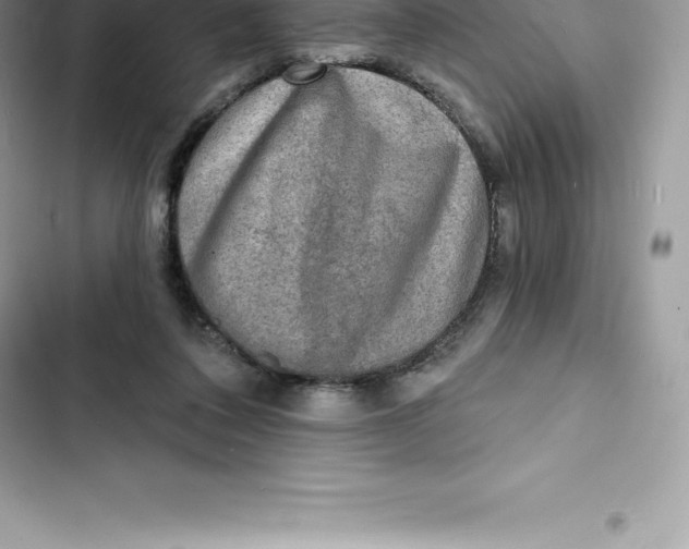 X0000103300308200809191901