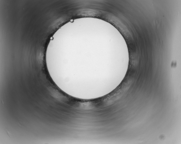 X0000103300309200809191901