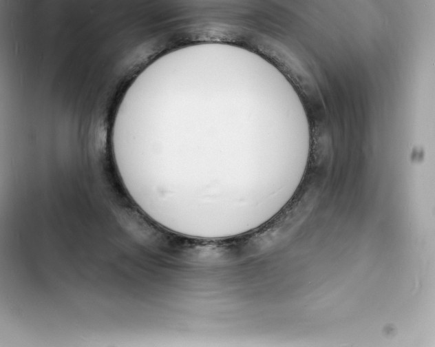 X0000103300310200809191901