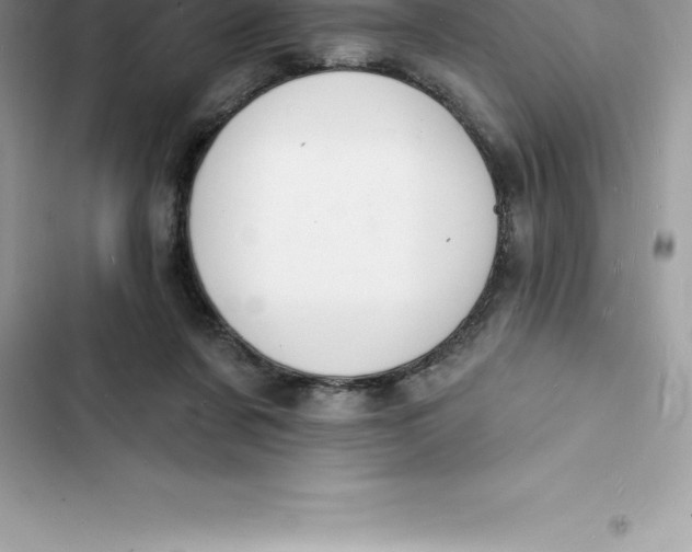 X0000103300311200809191901