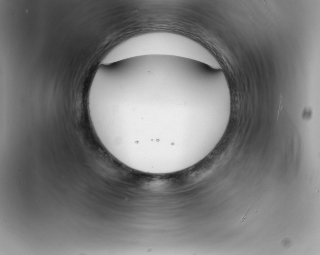 X0000103300312200809191901