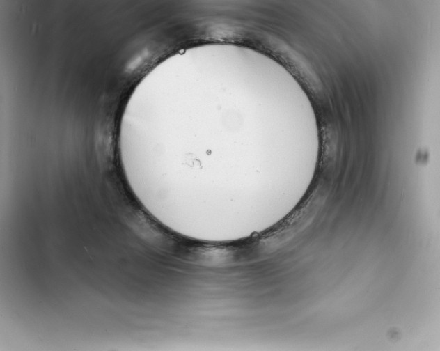 X0000103300313200809191901