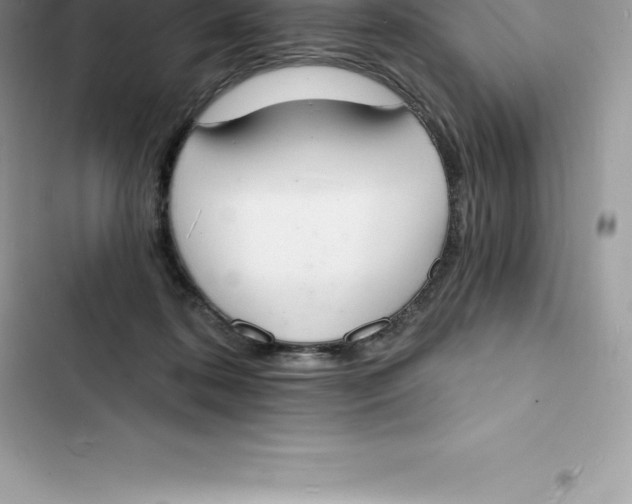 X0000103300316200809191900