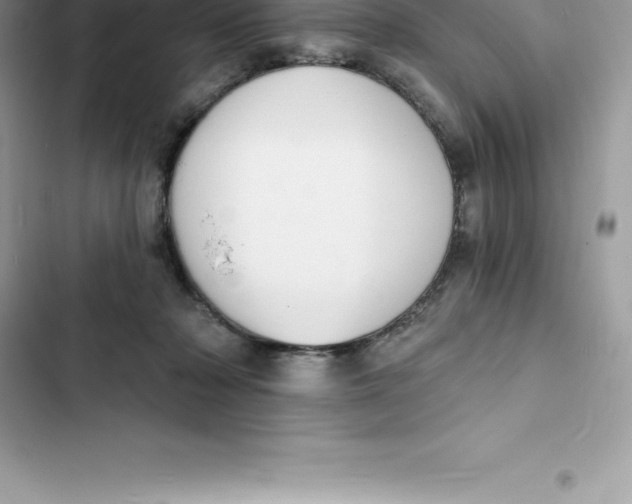 X0000103300318200809191900