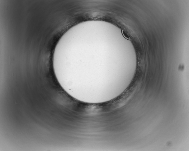 X0000103300319200809191900