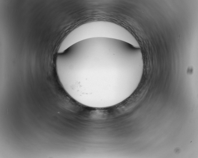 X0000103300320200809191900