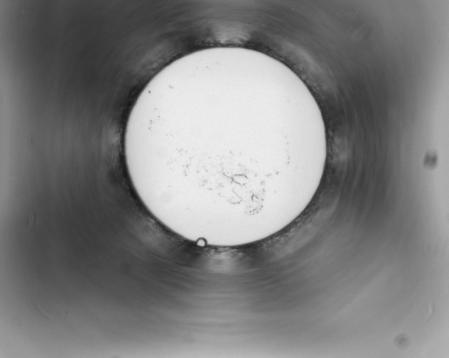 X0000103300321200809191900