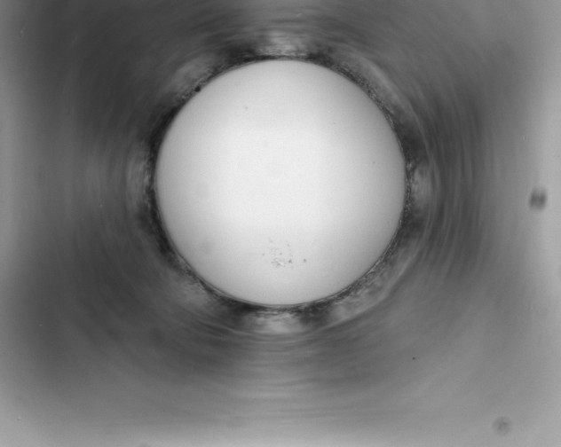 X0000103300322200809191900