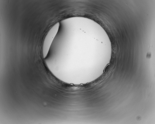 X0000103300323200809191900