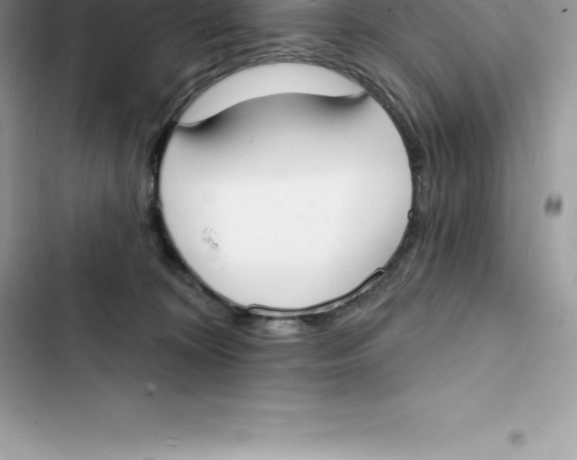 X0000103300324200809191900