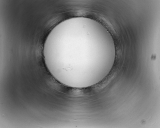 X0000103300325200809191900