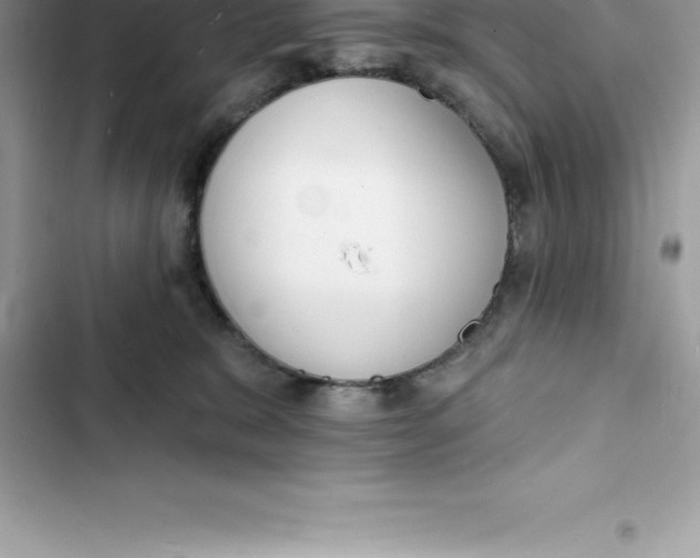 X0000103300327200809191900