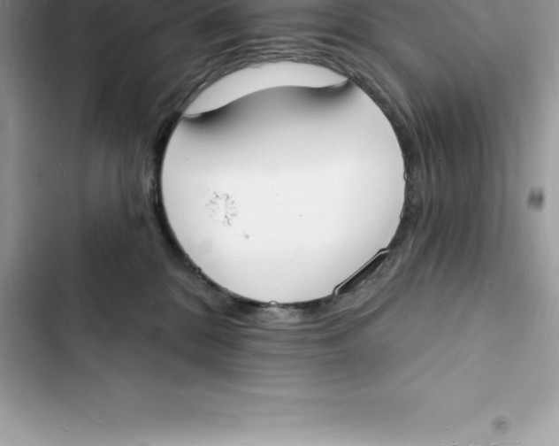 X0000103300328200809191900