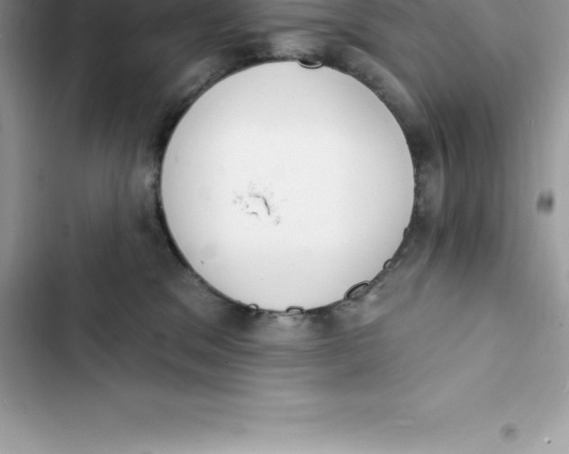 X0000103300329200809191900