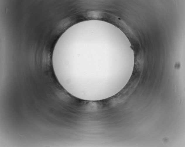 X0000103300330200809191900