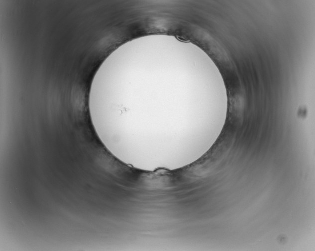 X0000103300331200809191900