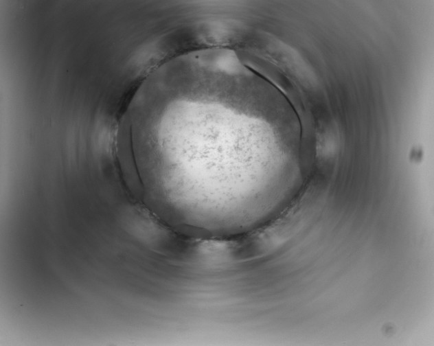 X0000103300332200809191900