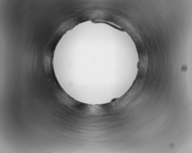 X0000103300333200809191900