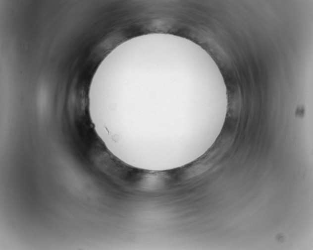 X0000103300334200809191900