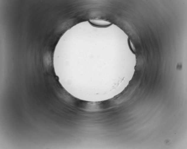 X0000103300335200809191900