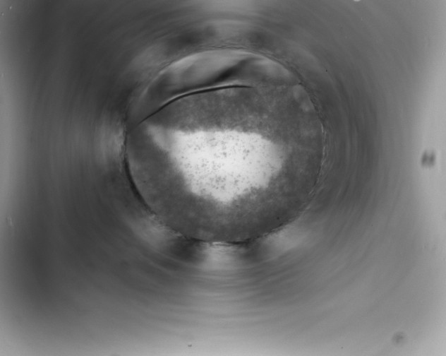 X0000103300336200809191900