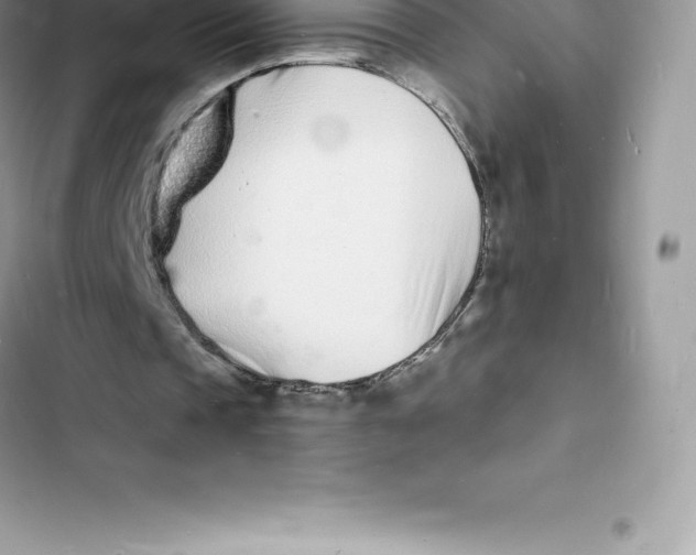 X0000103300337200809191859