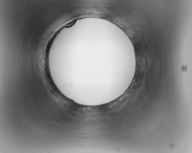 X0000103300338200809191859