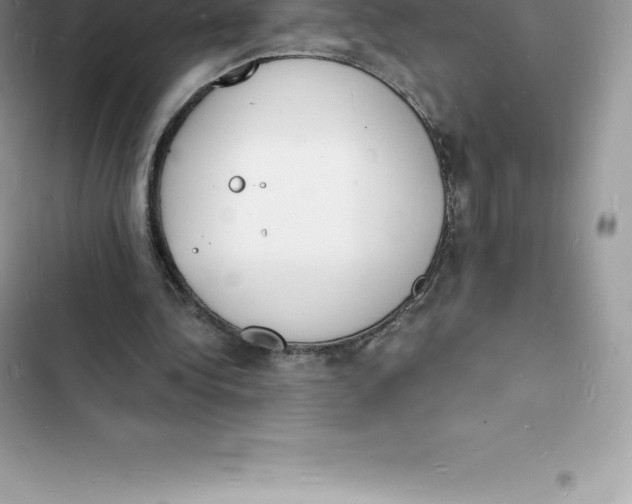 X0000103300340200809191859